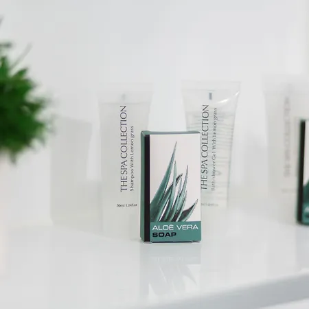 Hotell Hendrik Texel Oost (Texel)