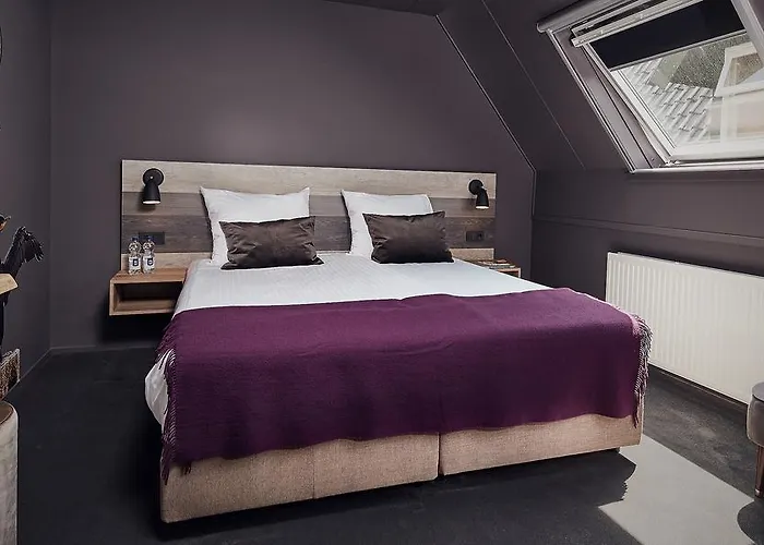 Hotel Prins Hendrik Texel 3*